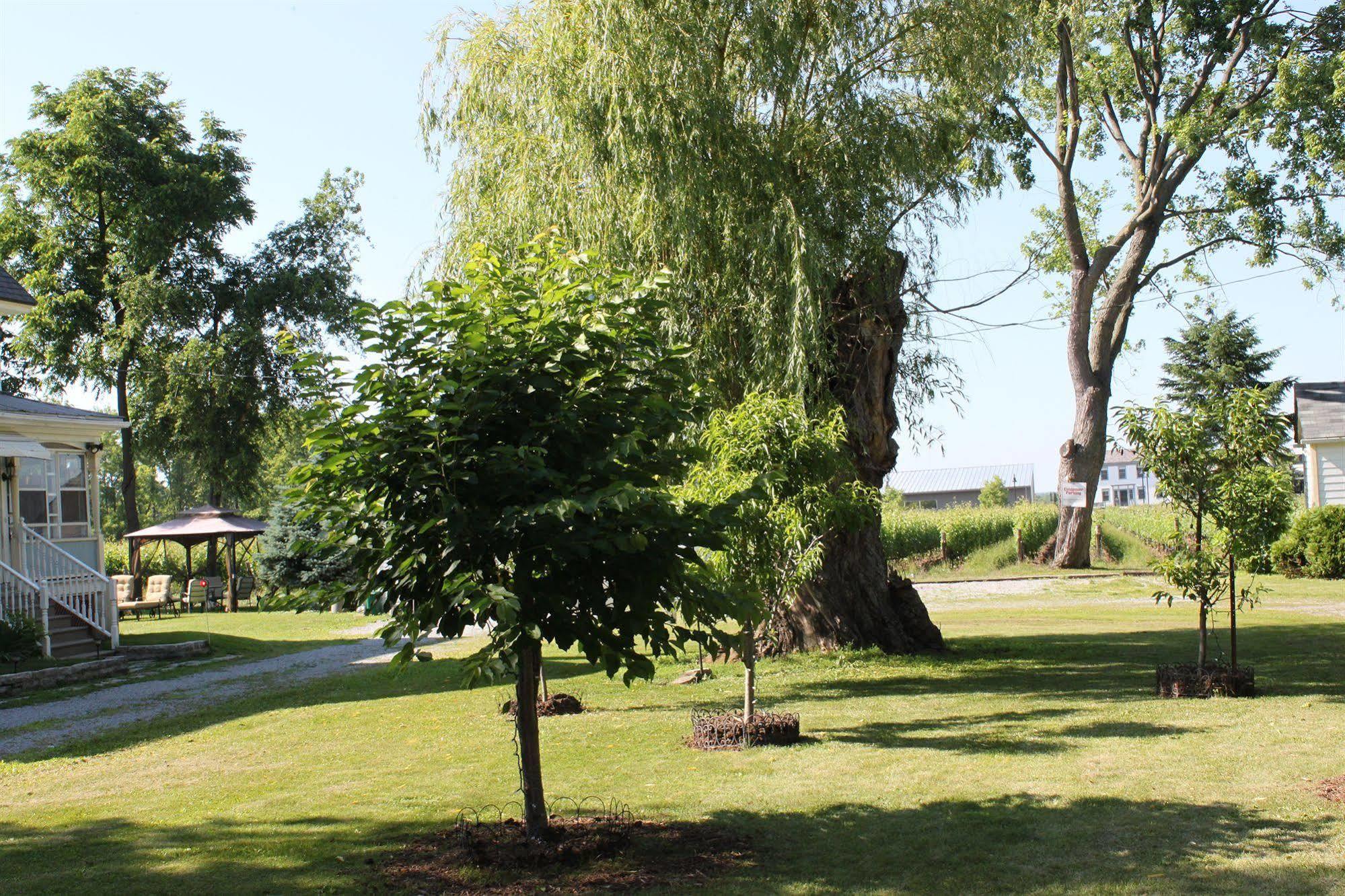 Green Oaks B&B Niagara-on-the-Lake Buitenkant foto